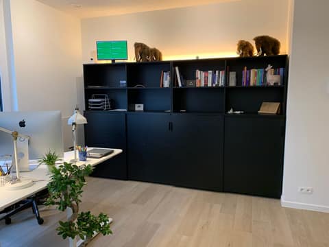 Coding Mammoth office