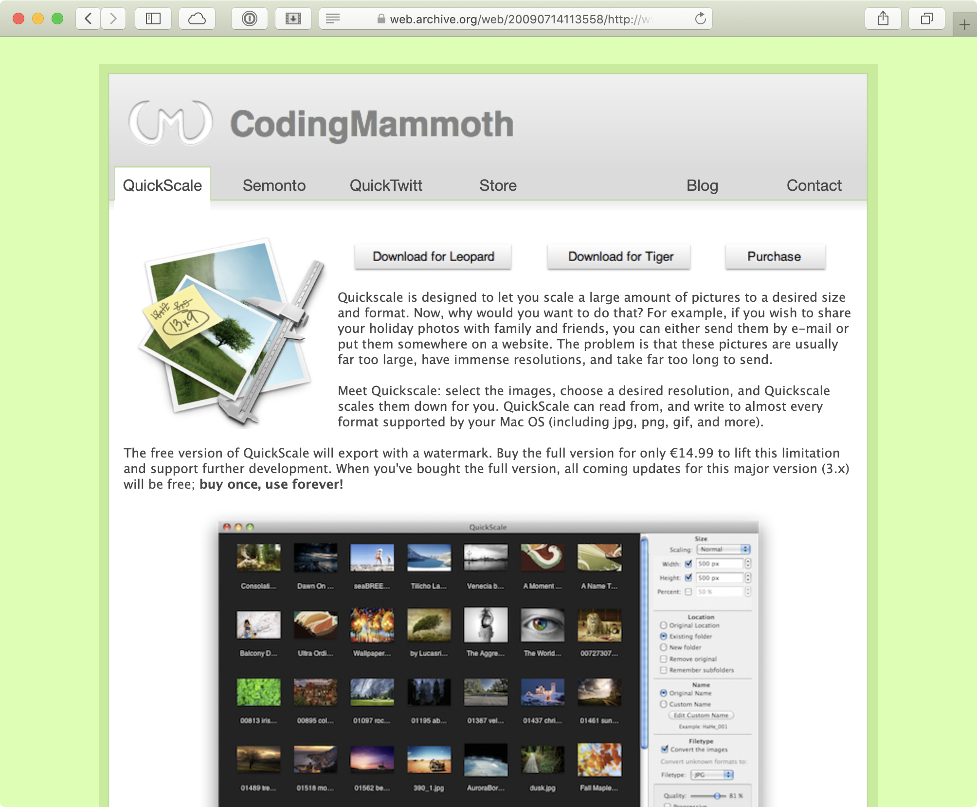 Website Coding Mammoth QuickScale 2009